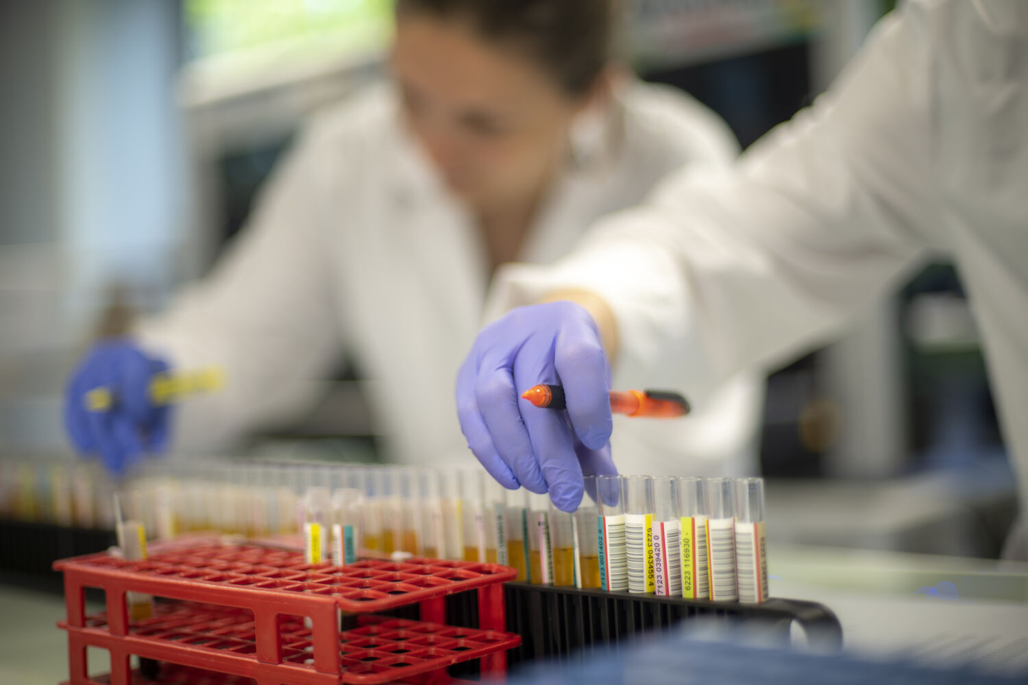 Laboratoire de qualification biologique des dons 