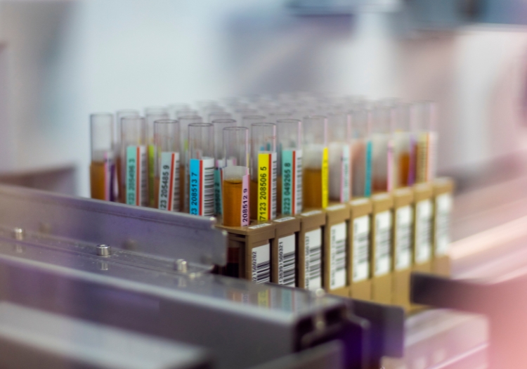 Laboratoire QBD