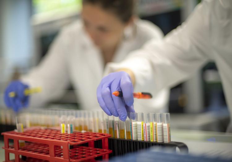 Laboratoire QBD technicien laboratoire Angers © EFS Thomas Gogny Laboratoire QBD technicien laboratoire Angers © EFS Thomas Gogny