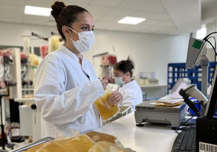 Préparation des poches de plasma à Nancy
