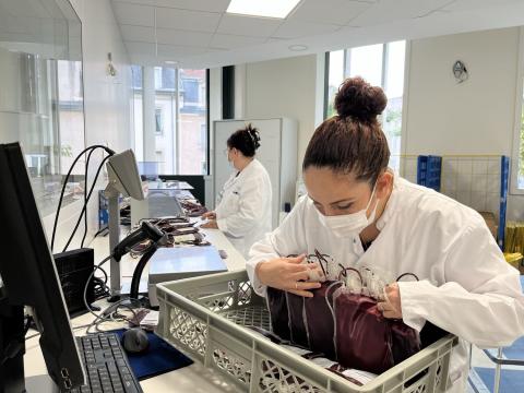 Poches de sang, plateau de préparation des PSL du site de Nancy