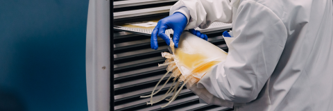 Activites EFS Occitanie