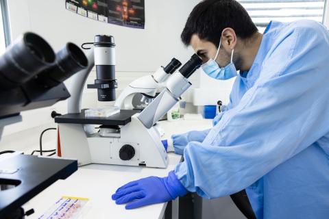 recherche© EFS Philippe Castano