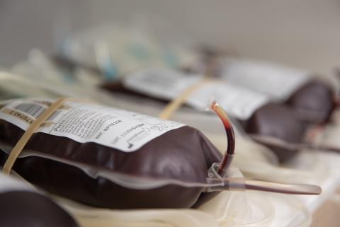 Poches de sang_© EFS Frédéric Maigrot