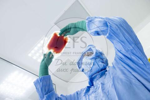 Production CAR-T© EFS Philippe Castano.jpg