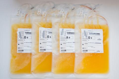 Poches de mélange de couche leuco-plaquettaire_© EFS Orane Tasky