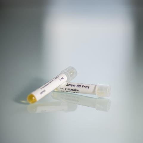 AB Serum