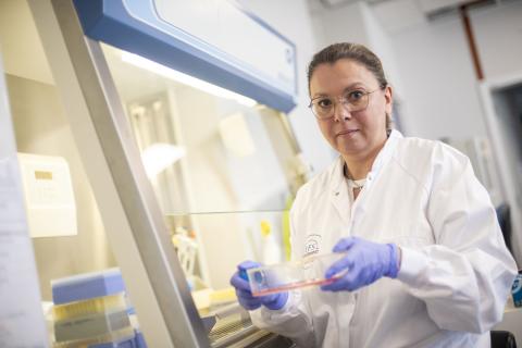 Controle qualité_suspension cellulaire_© EFS Thomas Gogny