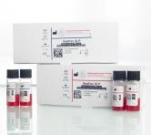 RedPan ID-P