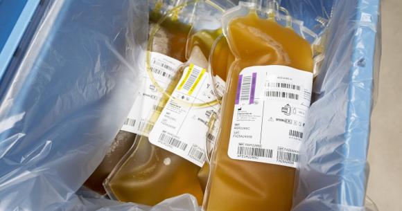 Poche de plasma_EFS_Lionet Rault