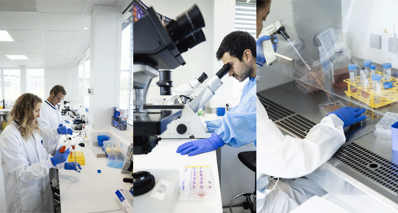 Un programme de recherche innovant pour produire des plaquettes sanguines en laboratoire 